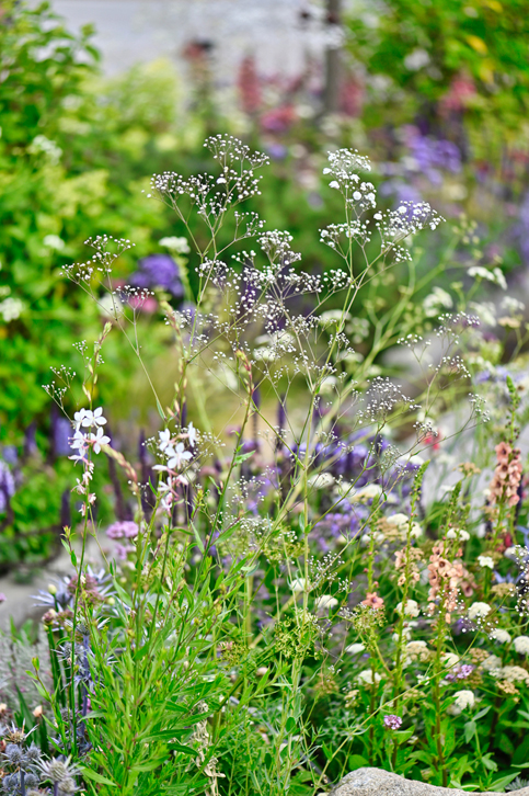 Viking Cruises Lagom Garden Show Week
