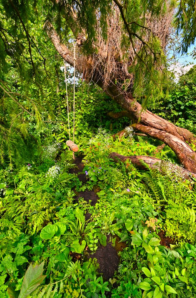 RHS Back to Nature Garden