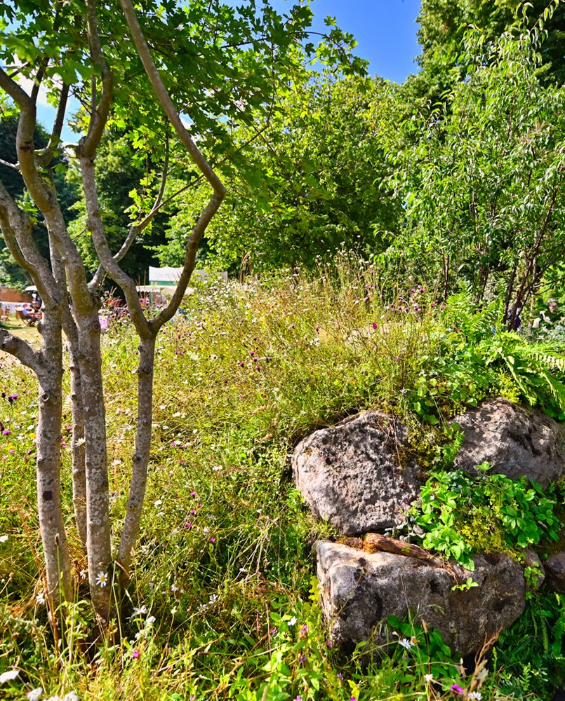 RHS Back to Nature Garden