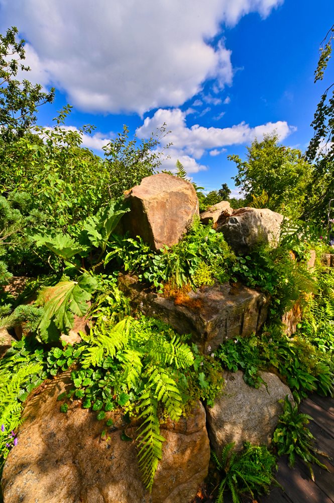 RHS Back to Nature Garden