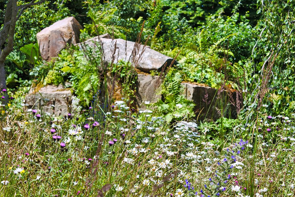 RHS Back to Nature Garden