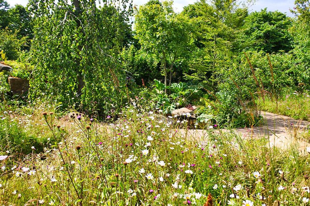 RHS Back to Nature Garden