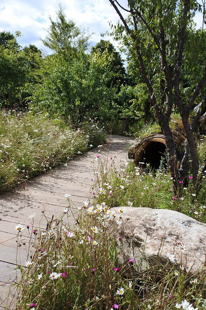 RHS Back to Nature Garden