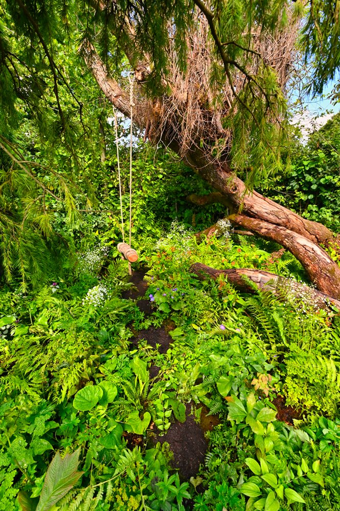 RHS Back to Nature Garden