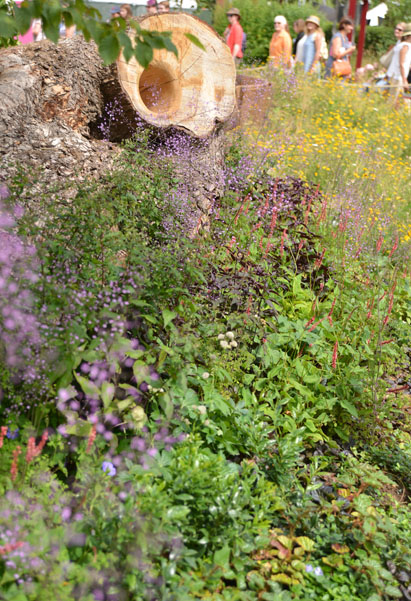 Layered planting set against hollowed out oak tree