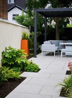 Urban Garden