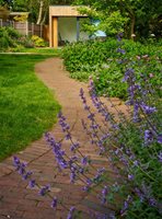 Serpentine Path Garden