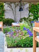 RHS Hampton Court Garden Festival 2019