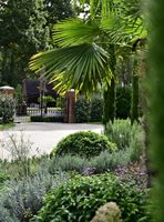 Mediterranean Planting