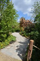 RHS Hampton Court Flower Show 2017