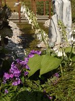 RHS Hampton Court Flower Show 2018