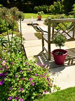 Water Rill Garden