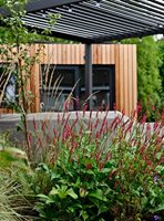 Contemporary Garden