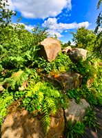 RHS Hampton Court Garden Festival 2019